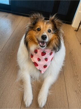 Strawberry Patch Scrunchie Bandana
- See Size Chart in Photos